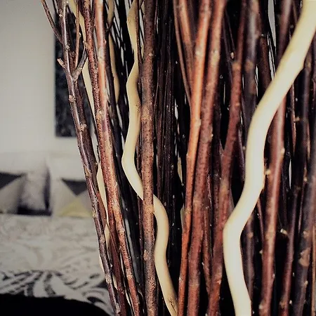 La Magie Des Reves Pensjonat Montréjeau