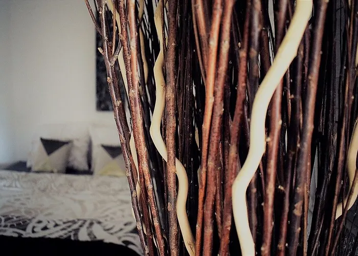 La Magie Des Reves Gasthof Montréjeau