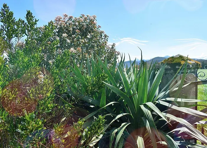 La Magie Des Reves 3*