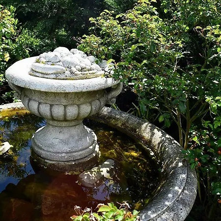 La Magie Des Reves 3*