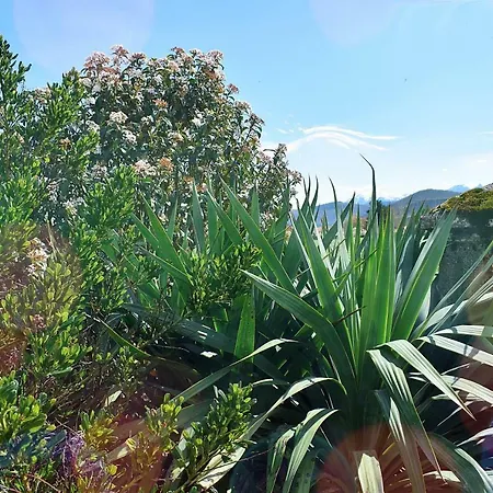 La Magie Des Reves 3*